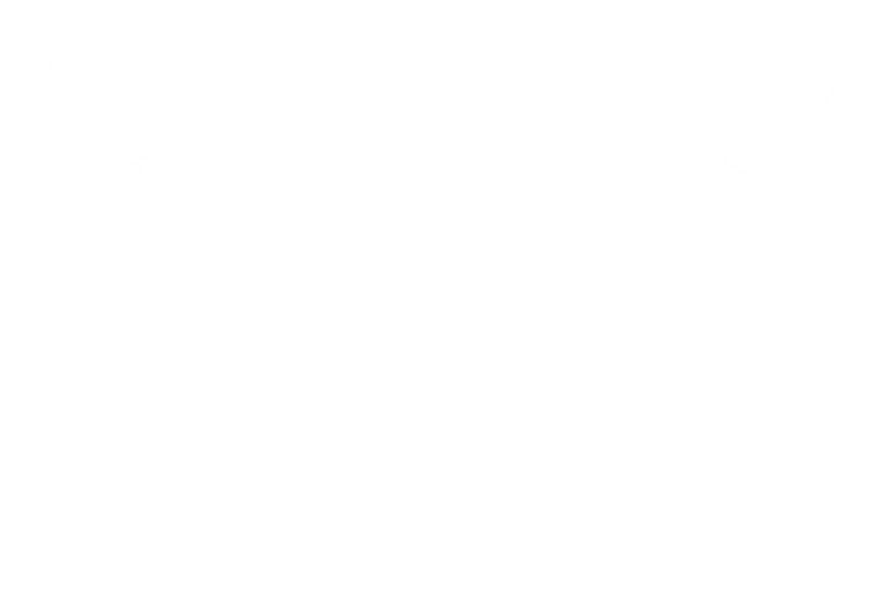 trrinket logo